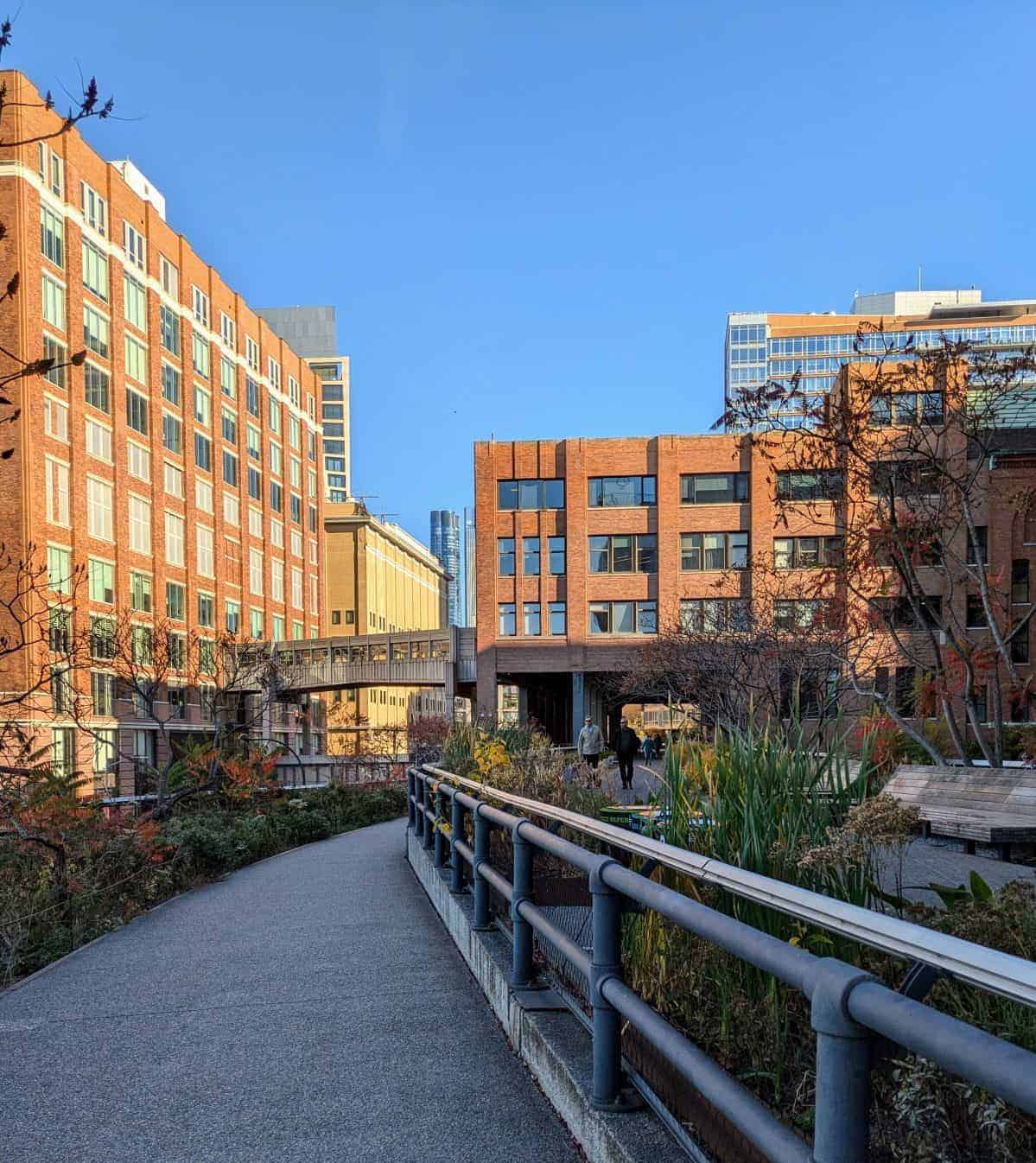 People walking on the New York City High Line with buildings and trees in the background.