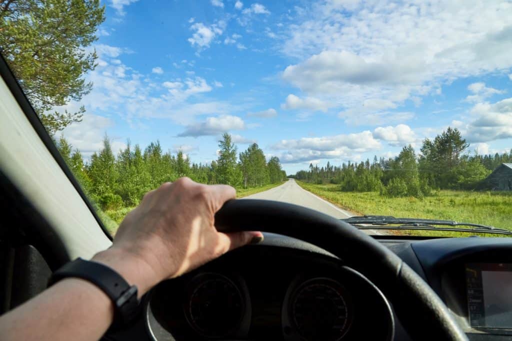 Driver on a scenic road with trees