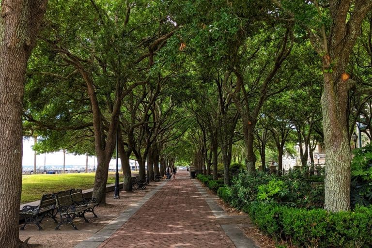 15 Of The Best Day Trips From Charleston SC