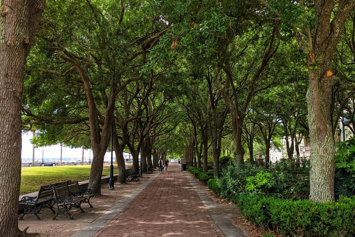 Tree shaded path in Waterfront Park