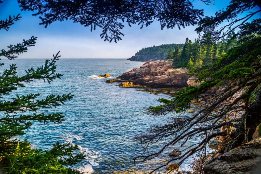 view of the Maine coast at Acadia National Park