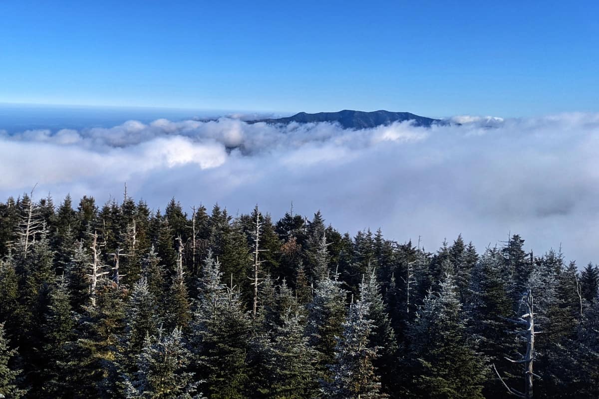 view from Clingmans Dome at Great Smoky Mountains National Park
