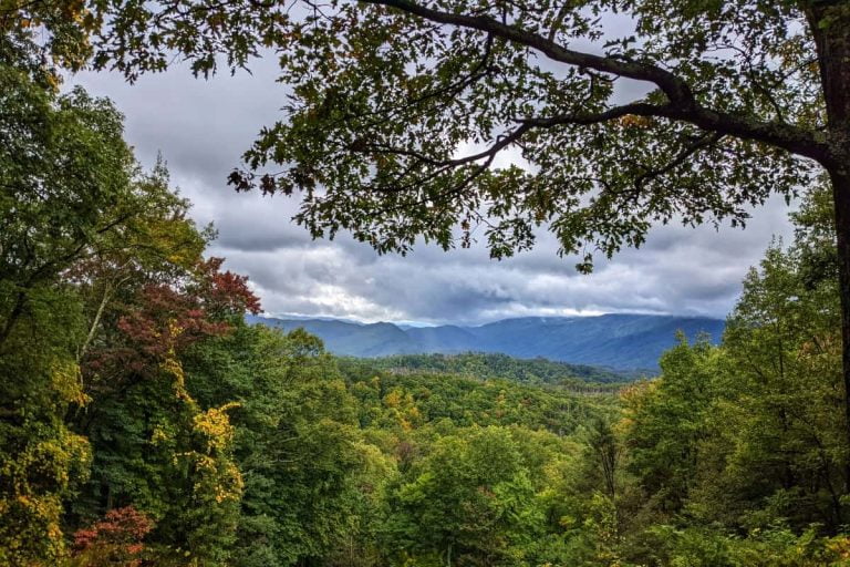 Great Smoky Mountains National Park Itinerary for a Perfect Trip