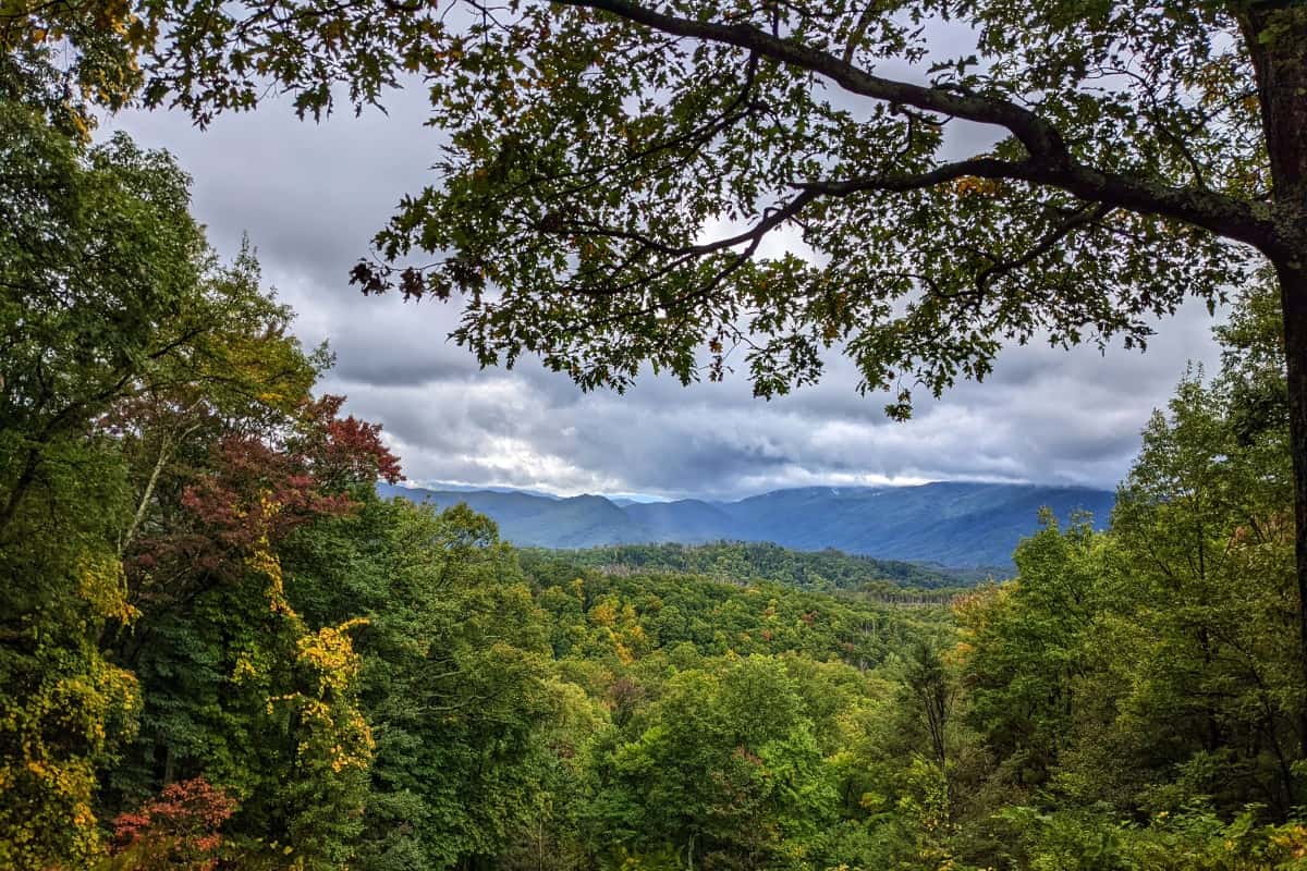 ægtefælle Blossom web The Best National Parks on the East Coast (You Can't Miss)