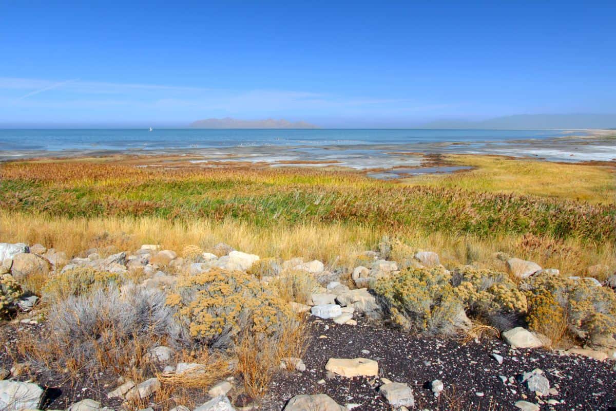 view of the Great Salt Lake at Great Salt Lake State Park