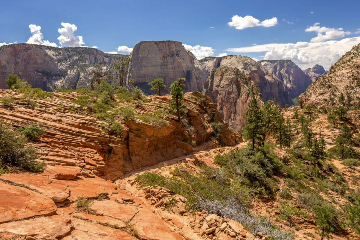 beautiful view at Zion National park