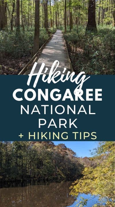 hiking Congaree National Park