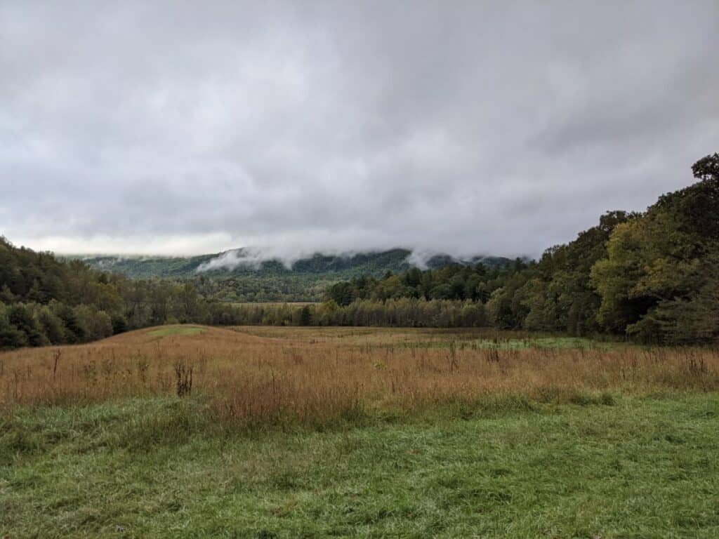 low clouds over a meadow in Cades Cove Great Smoky Mountains National Park