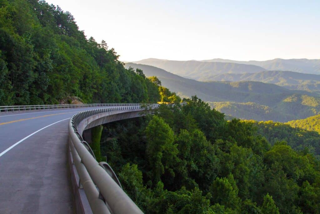 paved highway curving through the green trees of the Great Smoky Mountains in Tennessee