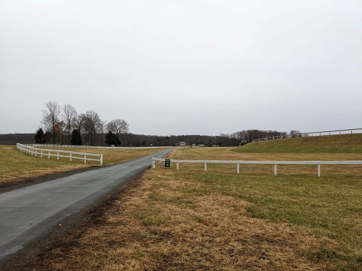 long road leading up to James Madison's Montpelier in the far distance