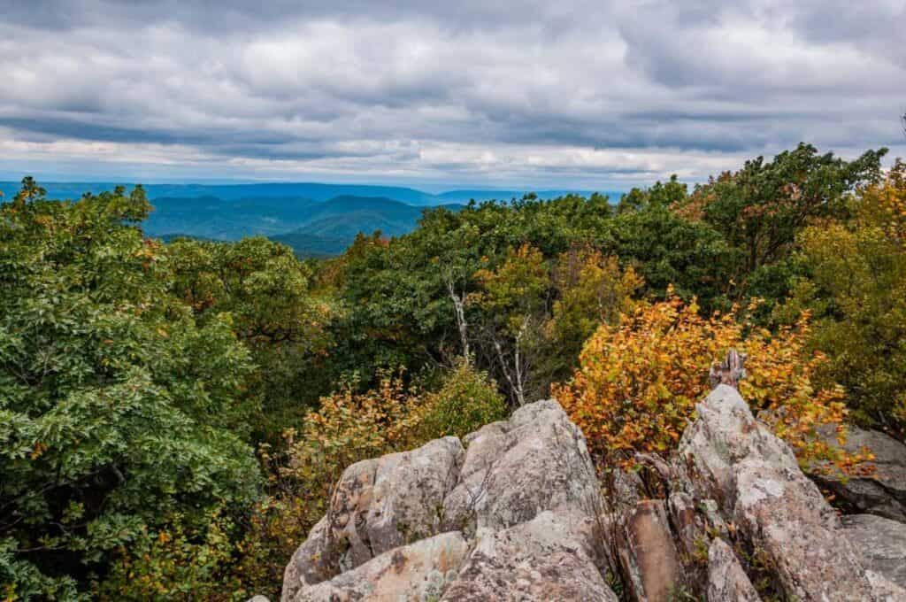 early autumn covers in Shenandoah National Park
