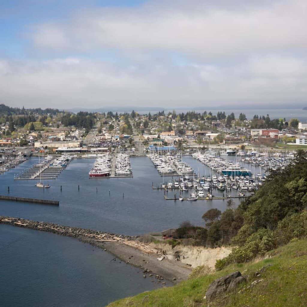 view of a marina from a grassy overlook in Washington State