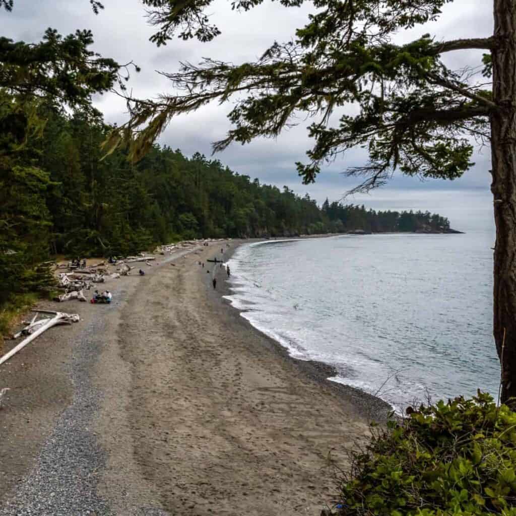 sandy beach on Whidbey Island lined with evergreen trees