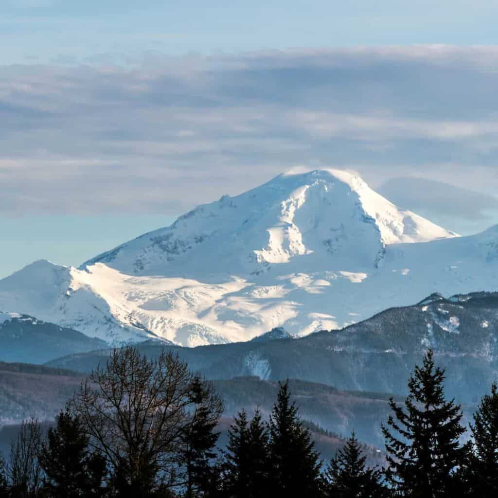 snow-capped mountain in Washington State with evergreen trees in the foreground