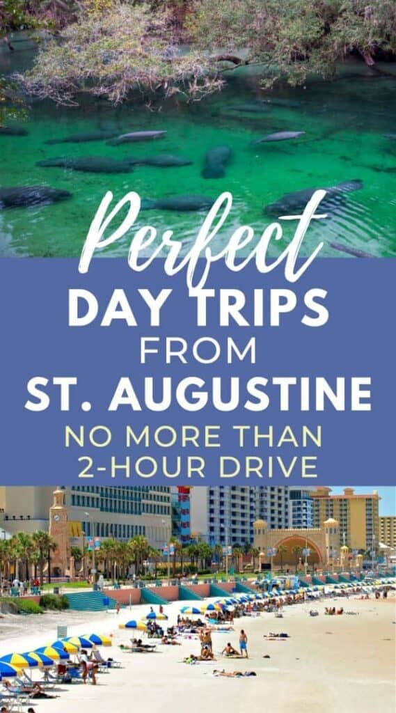 Photos of a spring with manatees and a white sandy beach. Text reads Perfect day trips from St Augustine Fl