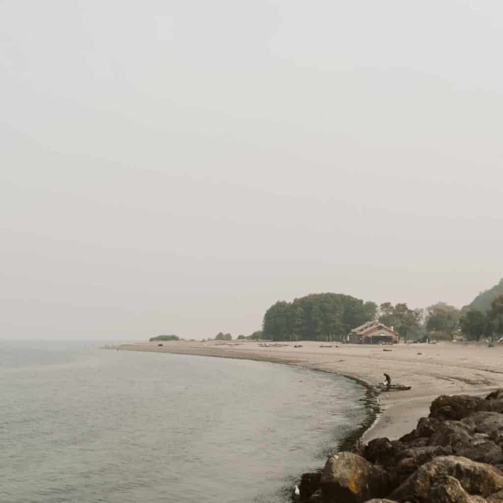 Misty fog surrounding a beach park