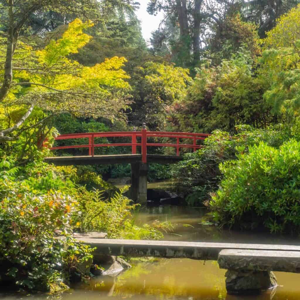 Stone footbridge across mirky pond water with Japanese trees around.