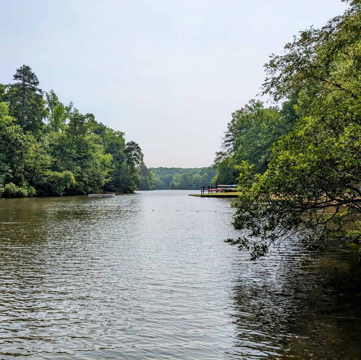 Many trees around a small lake. In the distance you can see a rack of canoes on the shore.