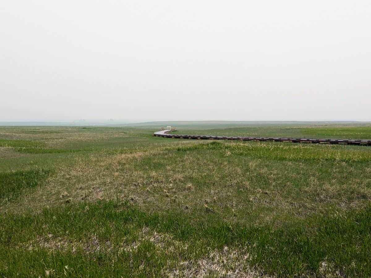 mixed grass prairie with a curved boardwalk extending over it