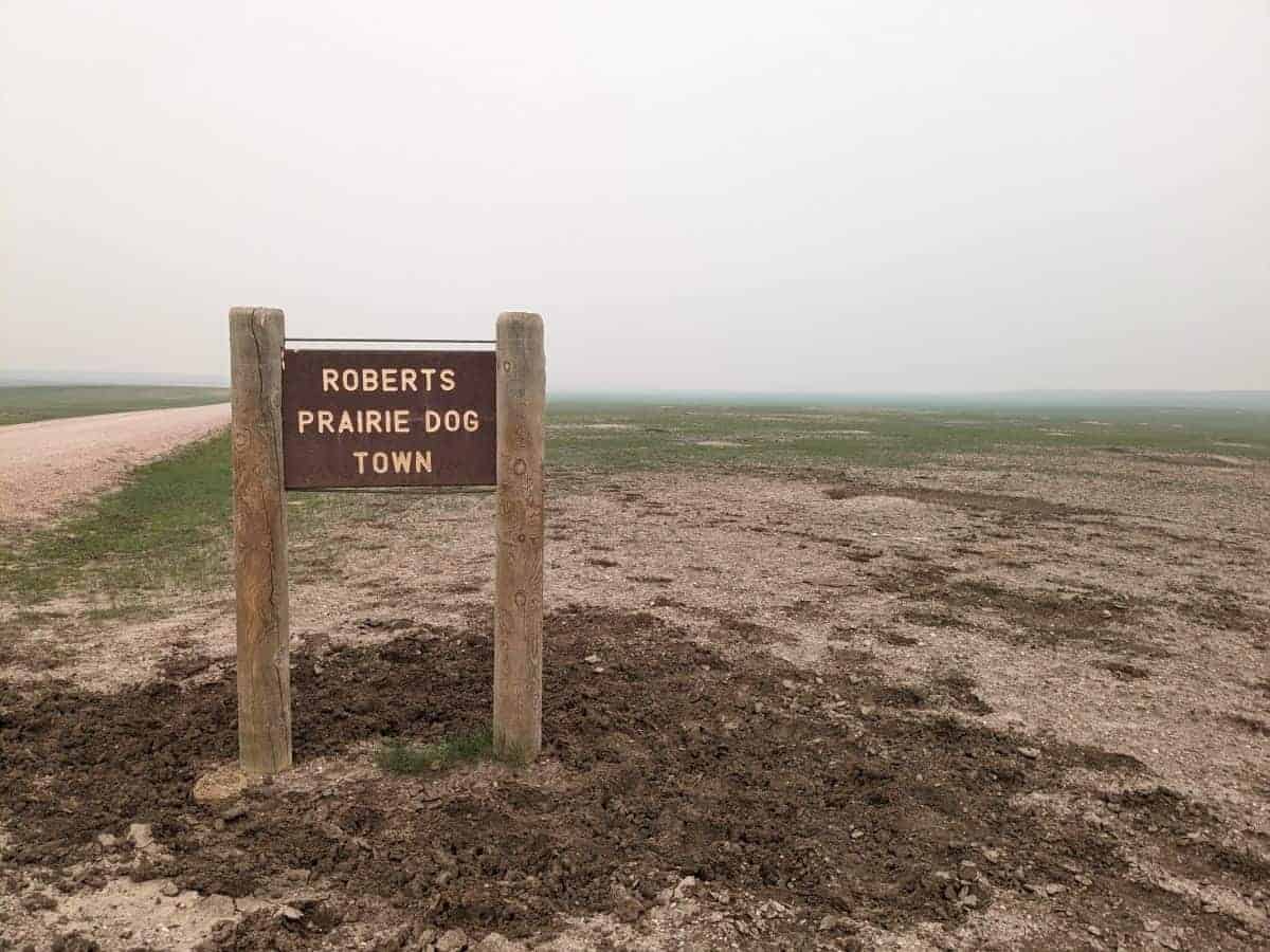 wooden sign that says Roberts Prairie Dog Town