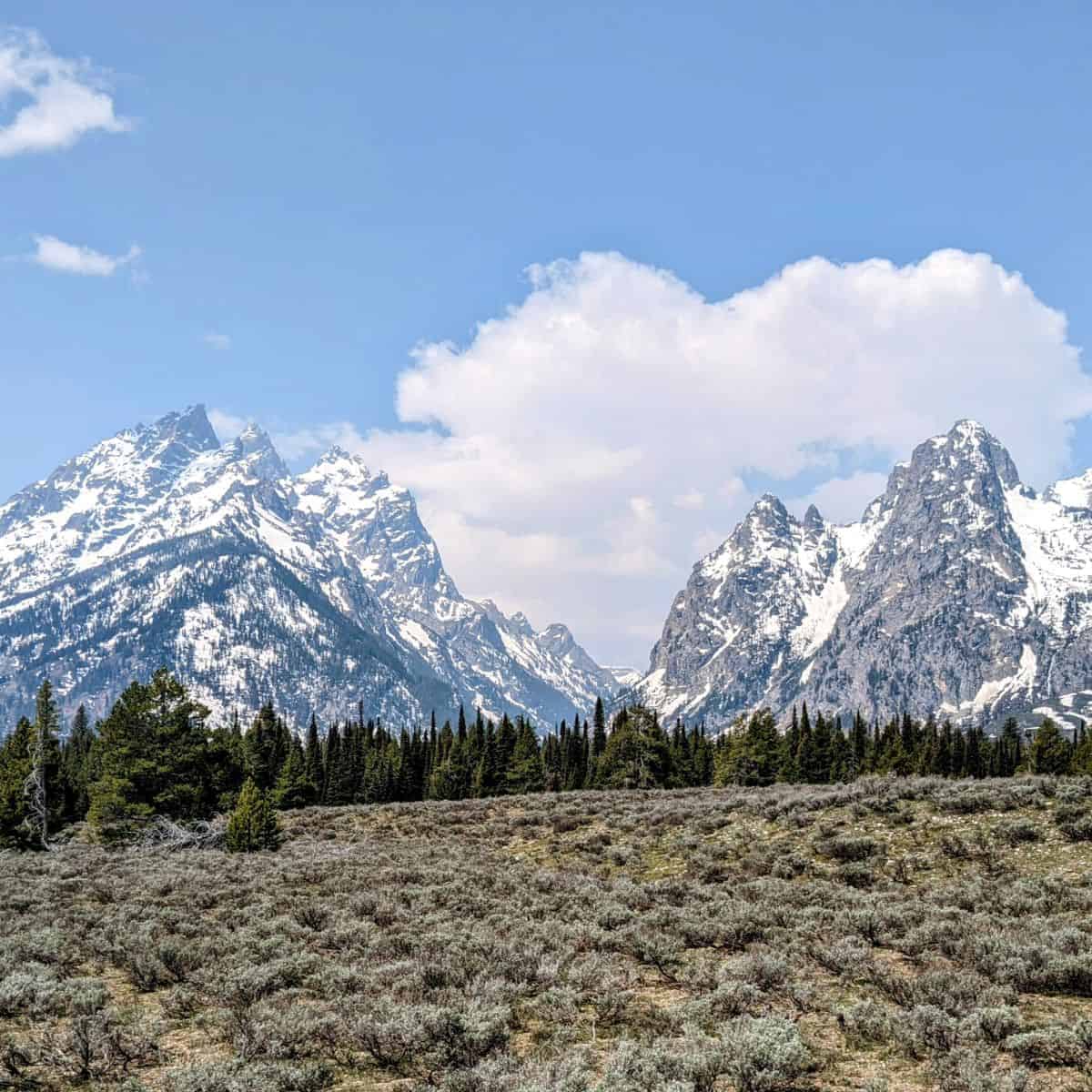 view of a deep canyon in the Teton Range