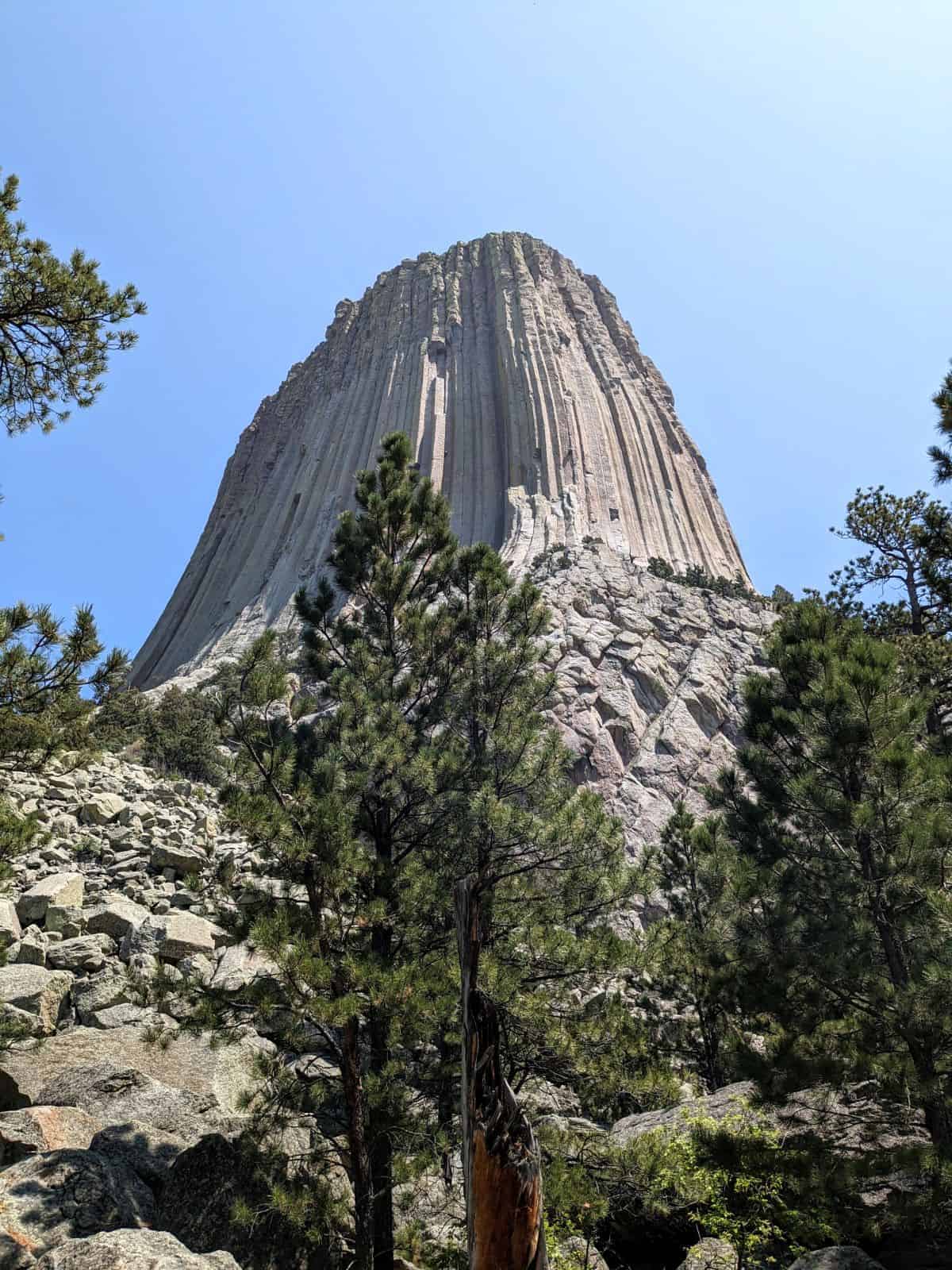 view of Devils Tower from the base