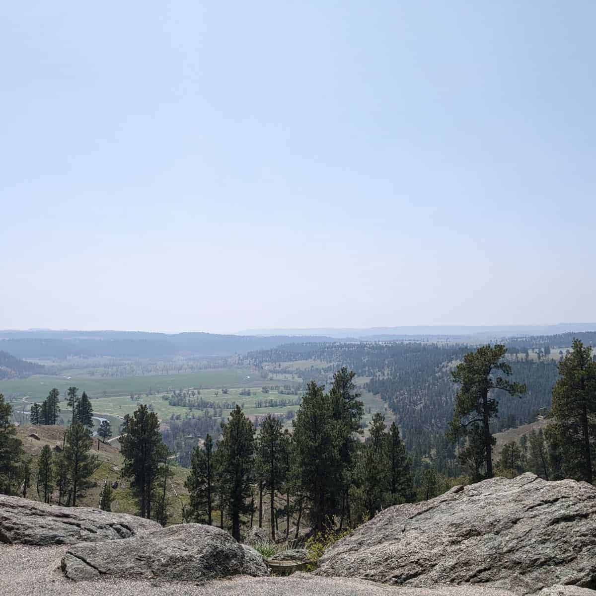 view of a valley with grass and trees