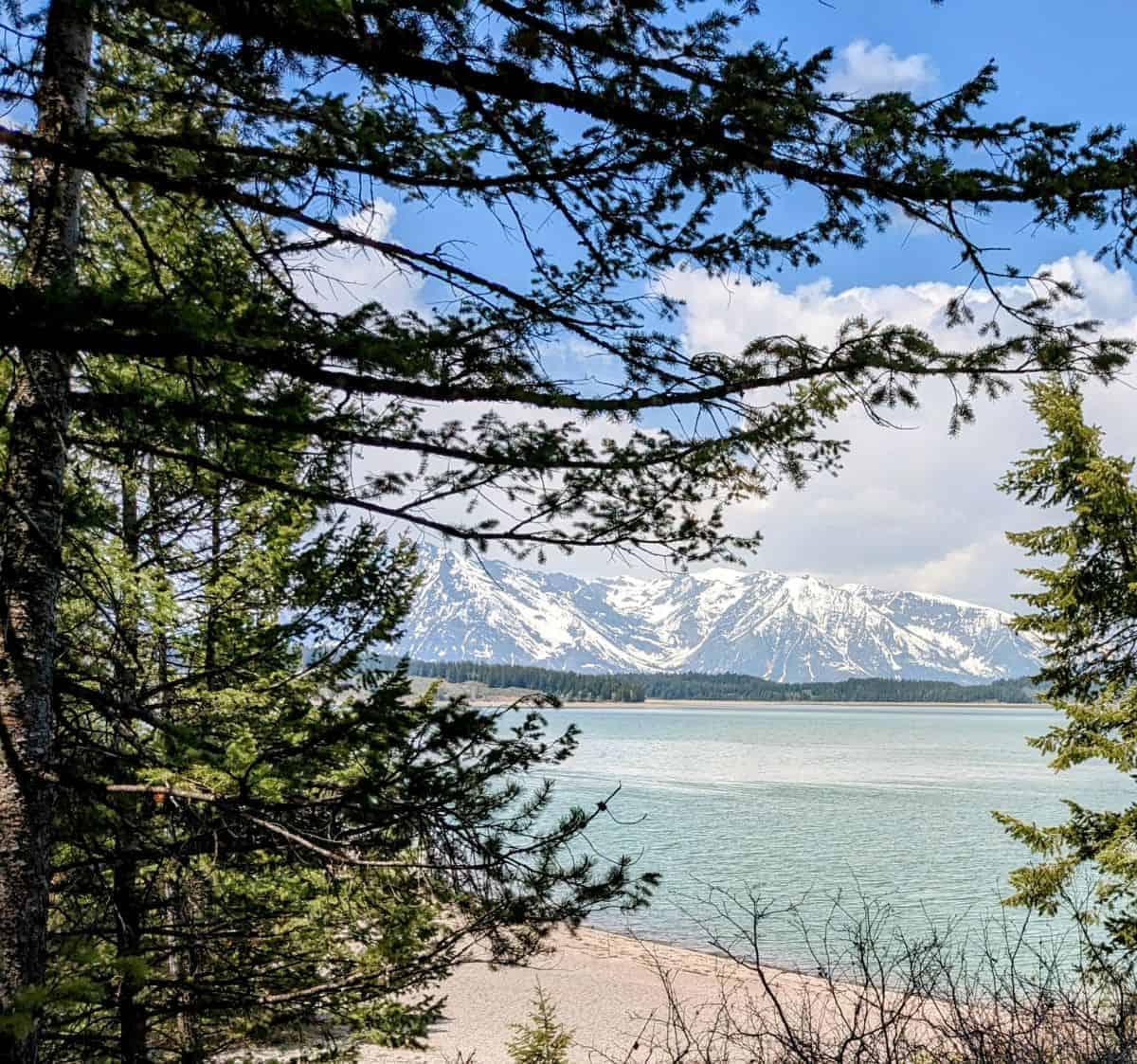 view of Jackson Lake with the Teton Range beyond, framed by evergreen trees