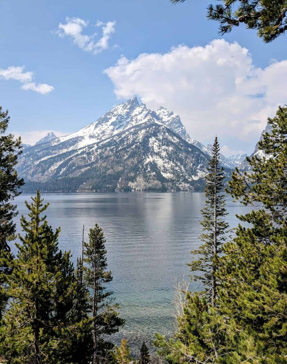 image of a snow-capped mountain behind a glacier lake and all framed by pine trees