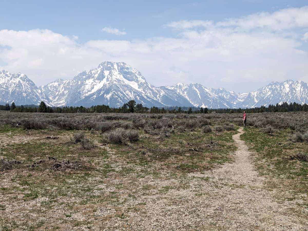 flat-topped mountain dominating north end of the Teton Range beyond sagebrush plains