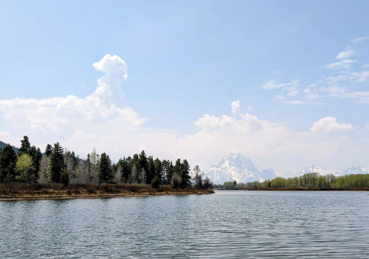 Mount Moran in the distance beyond a bend in the Snake River