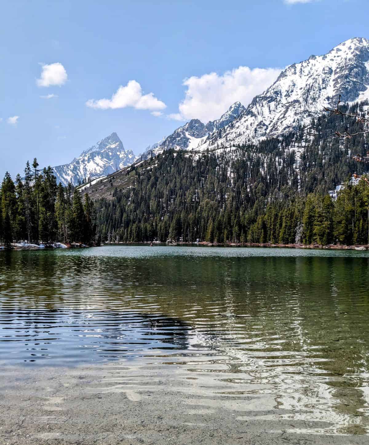 snow-capped mountains and evergreen trees beyond a clear glacier lake