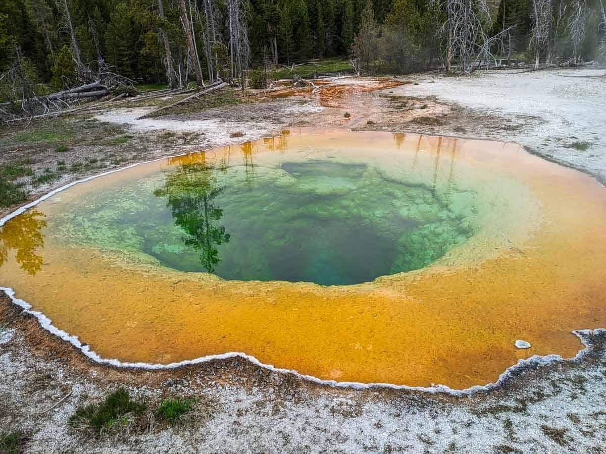 Large pool in a shape similar to a Morning Glory flower. The outer portion of the pool is a vibrant golden yellow and the inner portion is green.