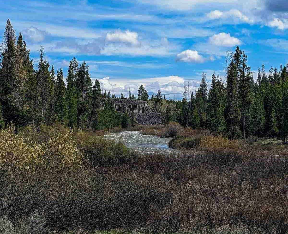 basalt cliff beyond a river surrounded by trees