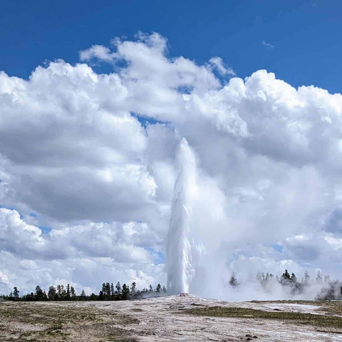 geyser erupting in the middle of a wide expanse like a sandy field