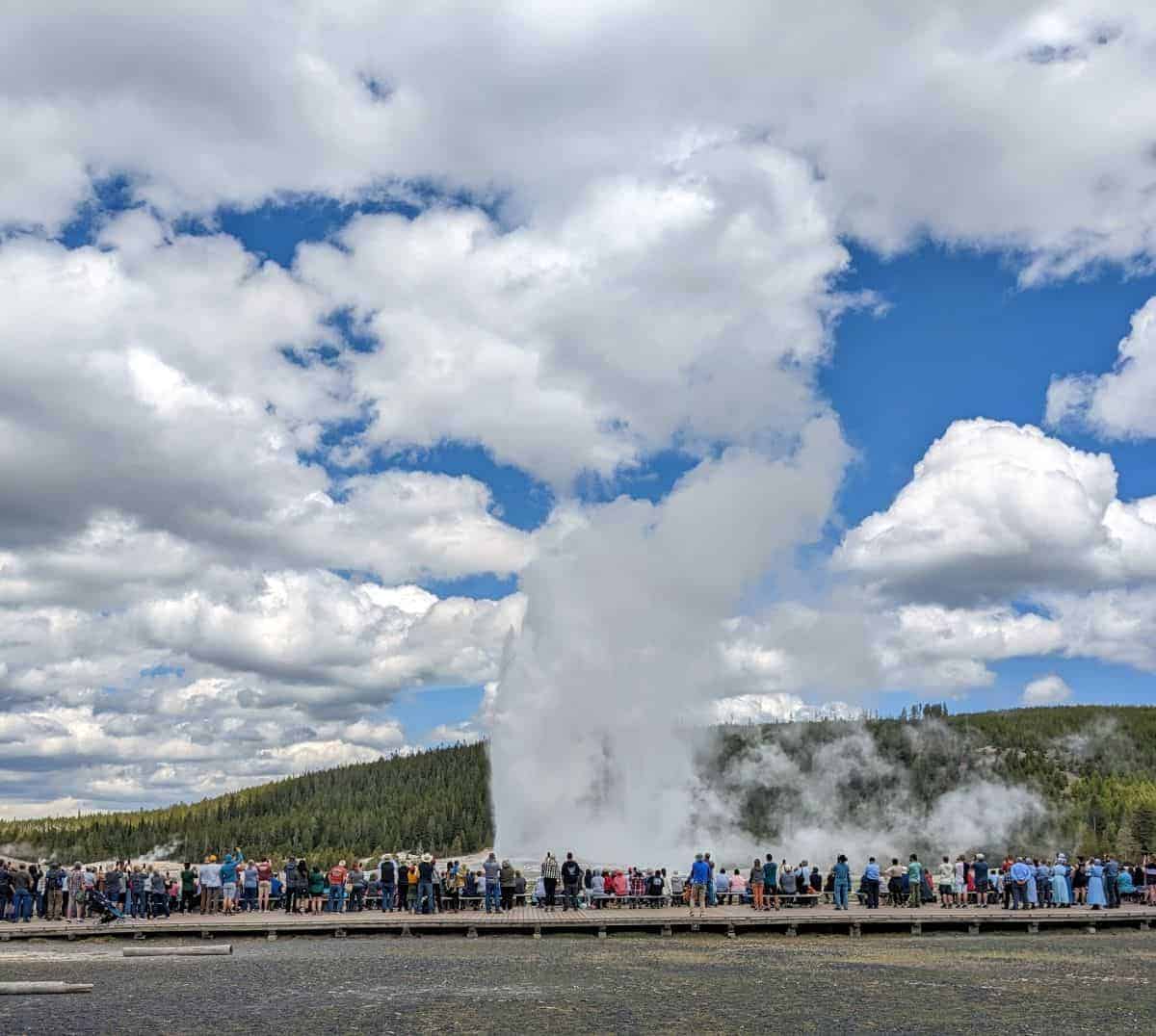 large crowd gathers on the wooden viewing platform as Old Faithful erupts in Yellowstone National Park