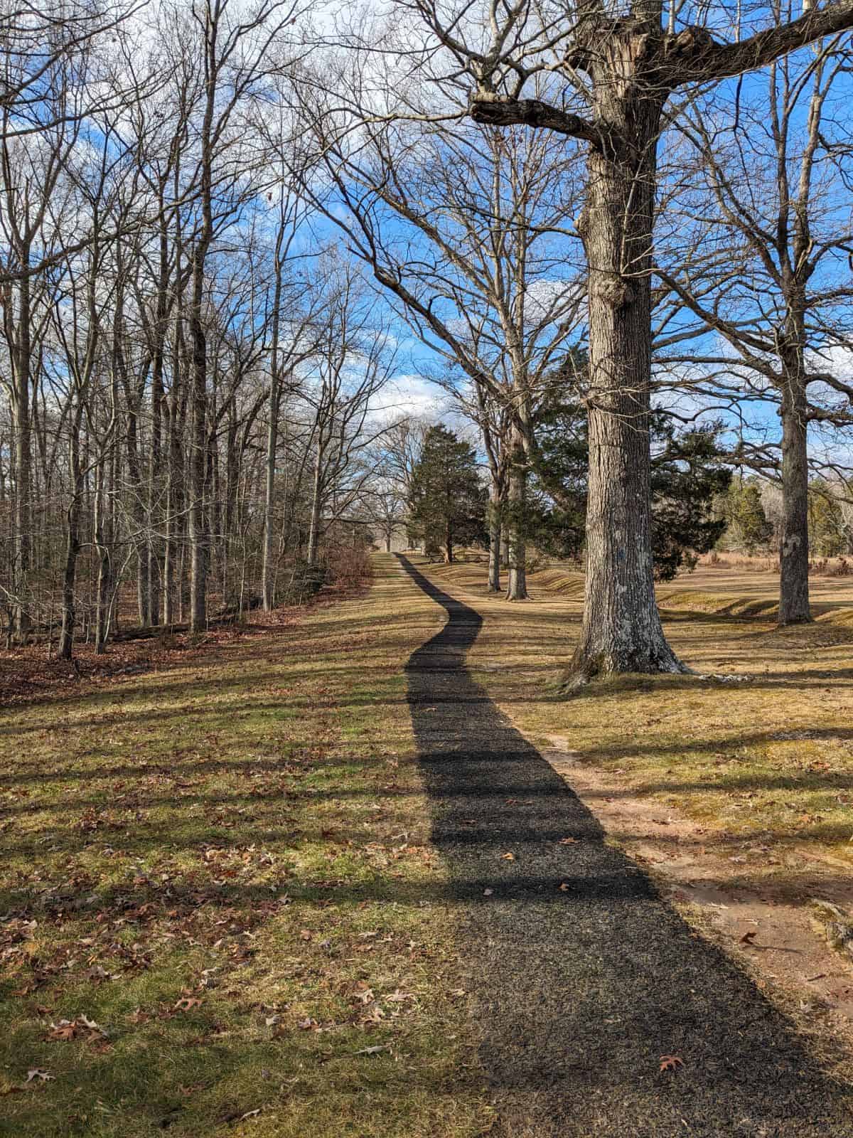 Black recycled rubber tire pathway through a lightly wooded area. Most of the trees are completely without leaves and there is a blue sky.