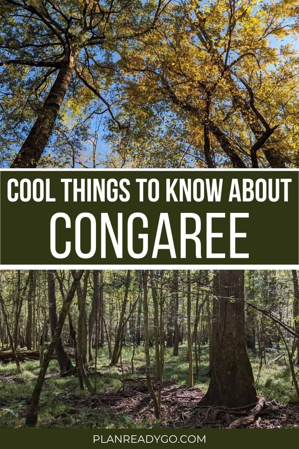 Congaree National Park Fun Facts pinnable image for Pinterest